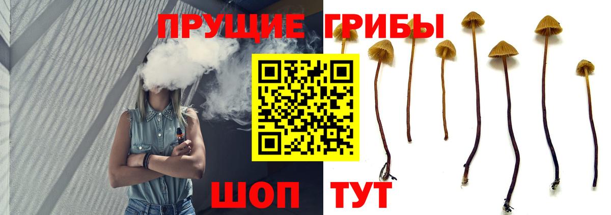 Псилоцибиновые грибы прущие грибы  Вход с VPN  Ишим 